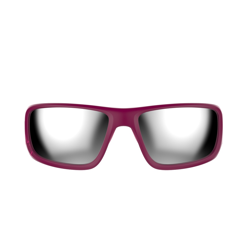 Lunettes polarisées Gust Evo violet mat