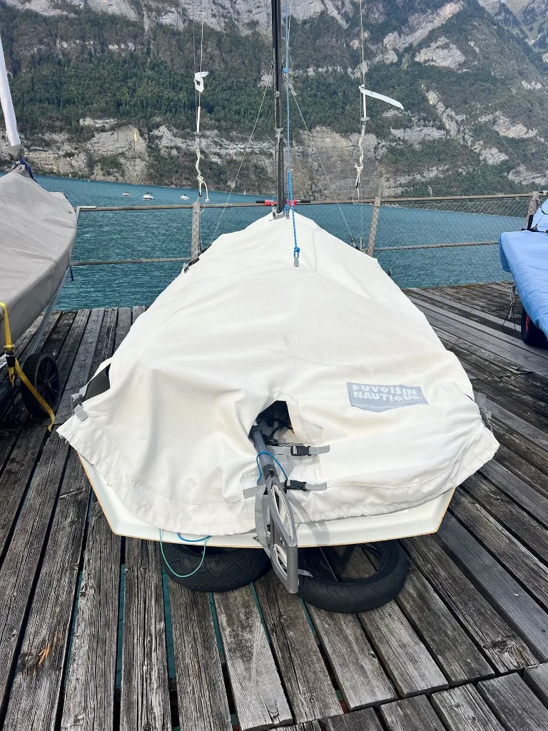 MPS5.webp