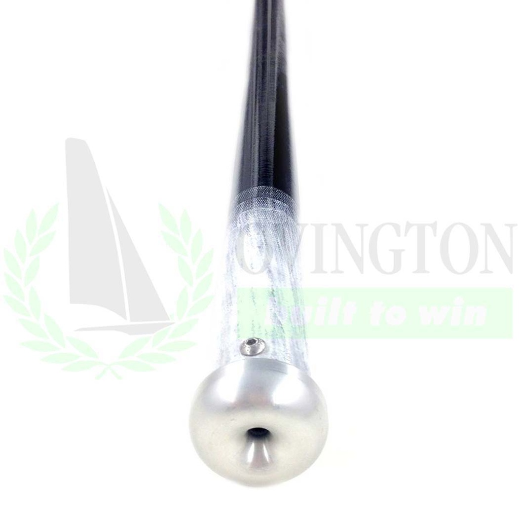 29er tangon de spinnaker