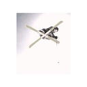 Petit service skis