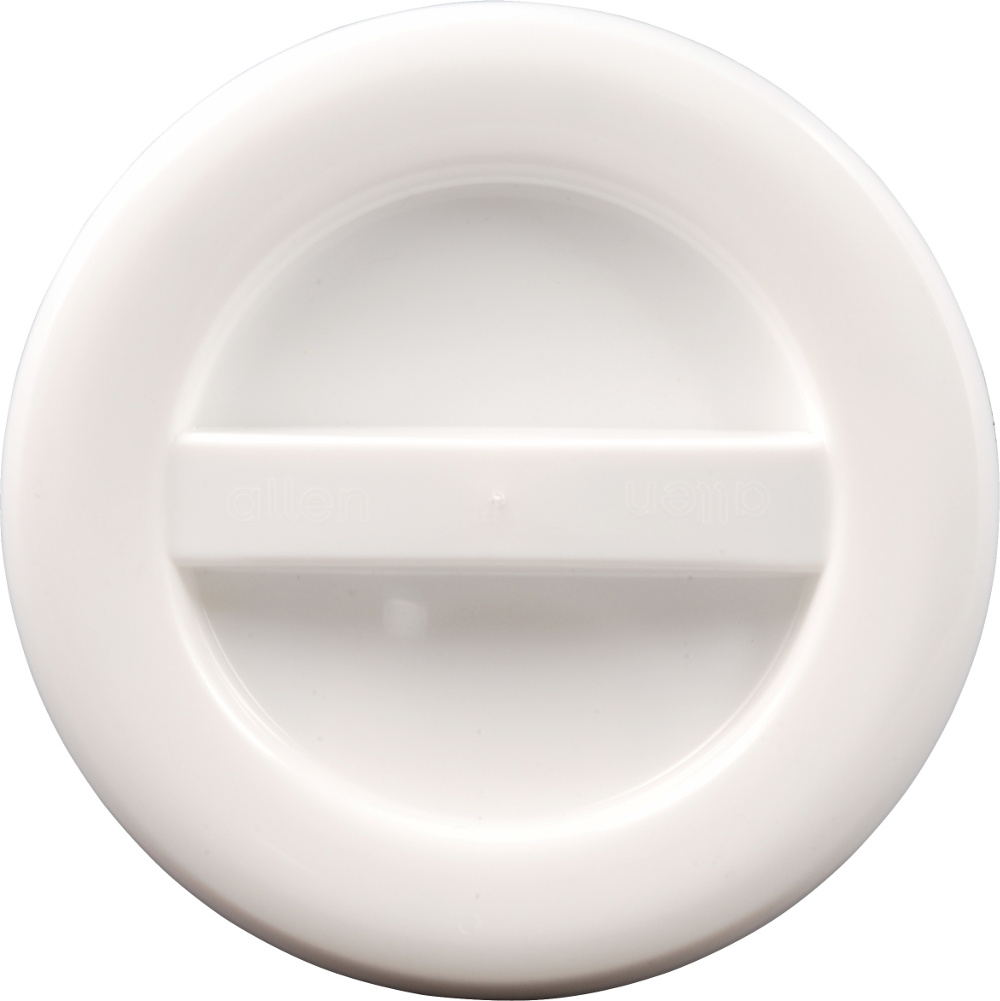 Inspektionsluke Ø 110mm weiss