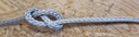Evolution splice