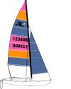 [HC-16 EASY] Hobie Cat 16 Easy